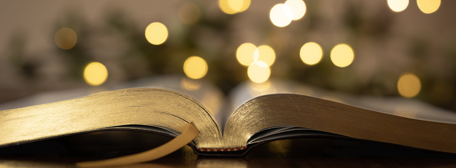St. Luke's Lutheran Church Advent Bible Study